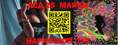 индика Лесосибирск