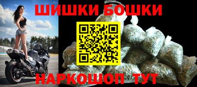индика Лесосибирск