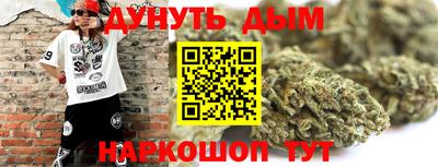 индика Лесосибирск