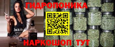 индика Лесосибирск