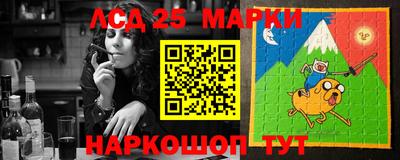 индика Лесосибирск