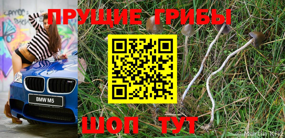 Псилоцибиновые грибы мицелий  Вход с VPN  Серов 