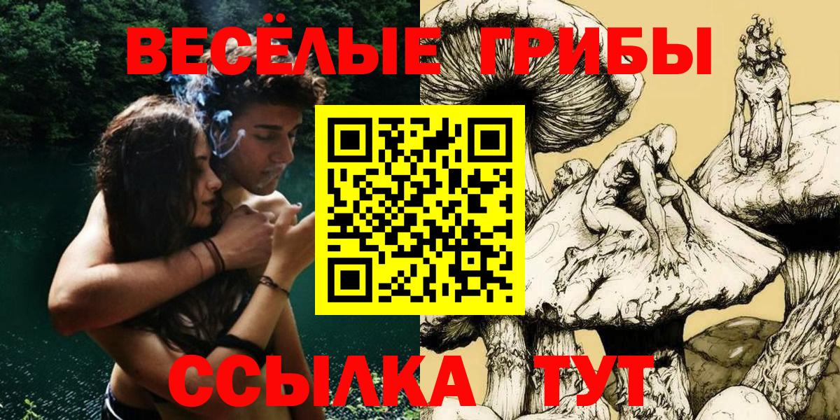 Псилоцибиновые грибы Cubensis Серов